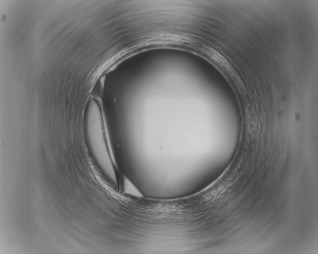 X0000053000842200507291640