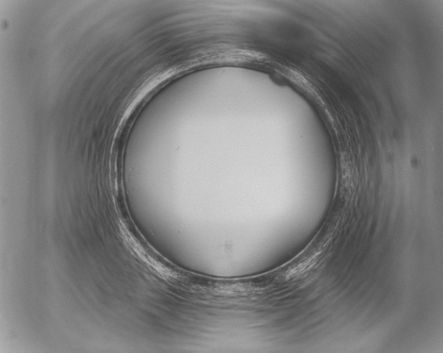 X0000053000843200507291640