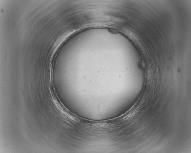 X0000053000844200507291640