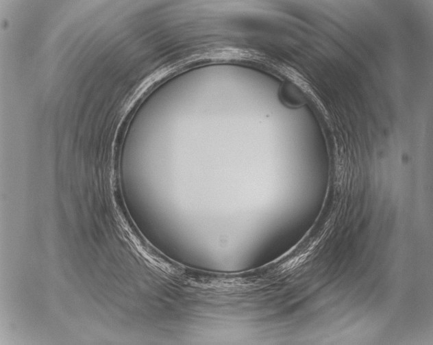 X0000053000845200507291640