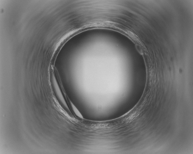 X0000053000846200507291640