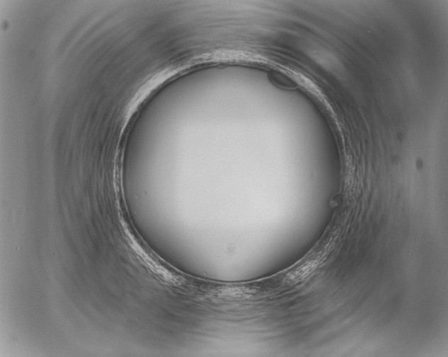 X0000053000847200507291640