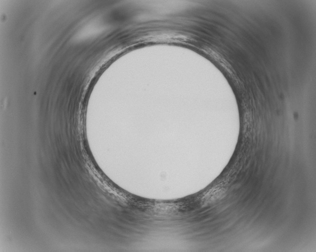 X0000053000848200507291640