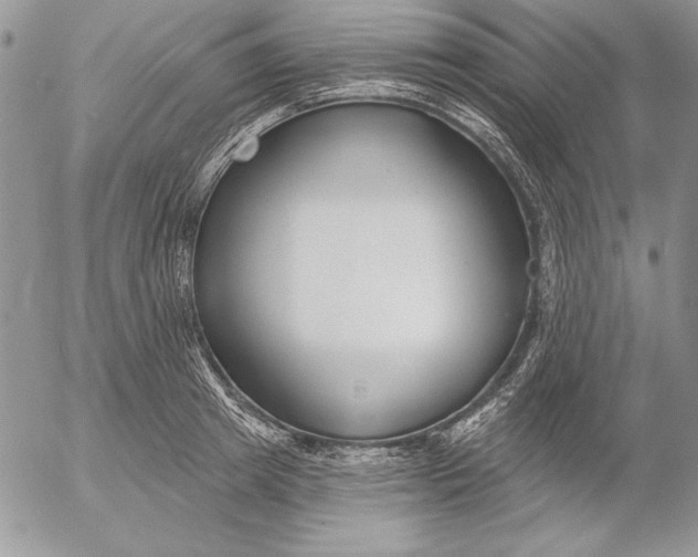 X0000053000849200507291640