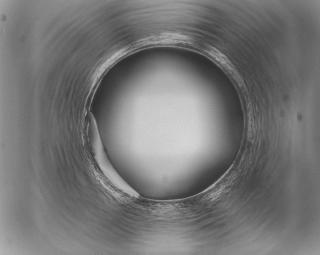 X0000053000850200507291640