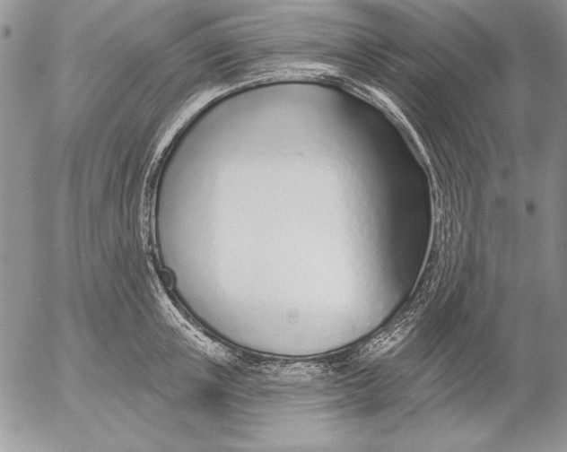 X0000053000851200507291640