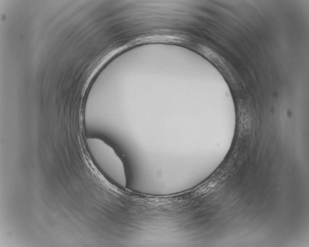 X0000053000852200507291640