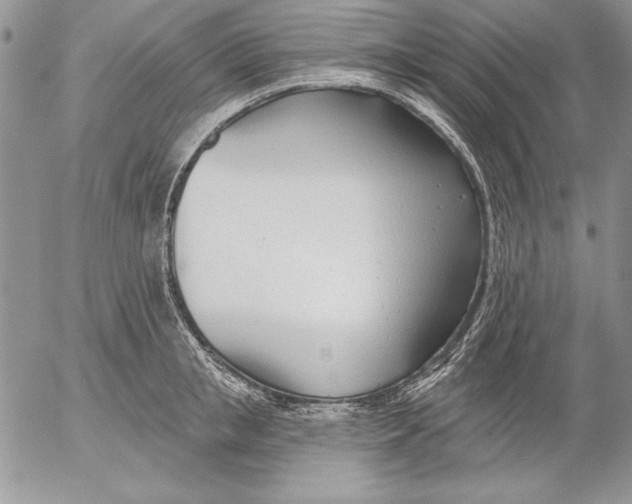 X0000053000853200507291640