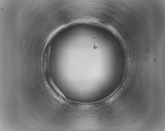 X0000053000854200507291640