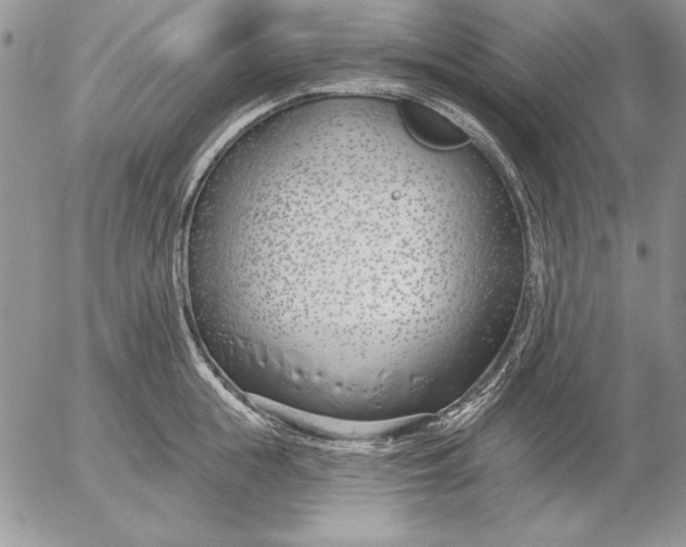 X0000053000855200507291640