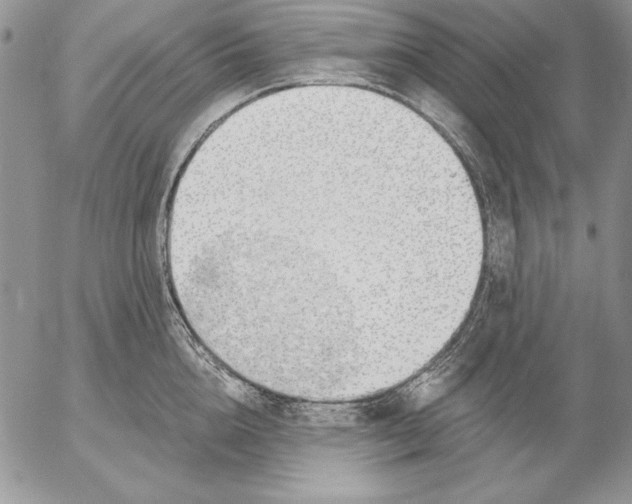 X0000053000856200507291640