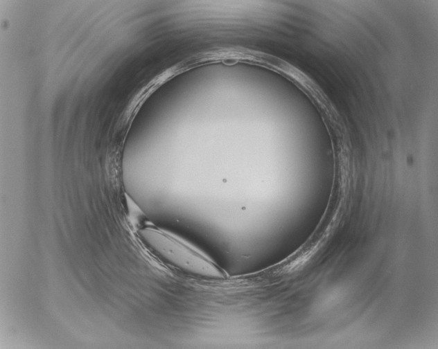 X0000053000857200507291640