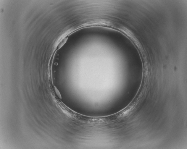 X0000053000858200507291640