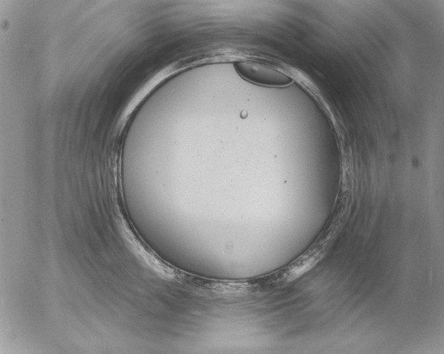 X0000053000859200507291640