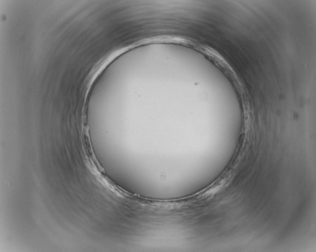 X0000053000860200507291640