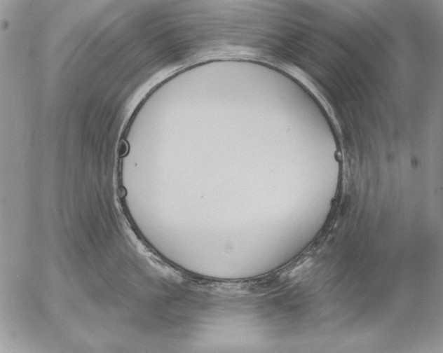 X0000053000861200507291640