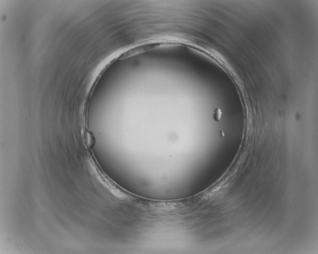 X0000053000862200507291640