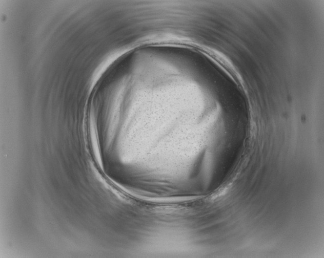 X0000053000863200507291641