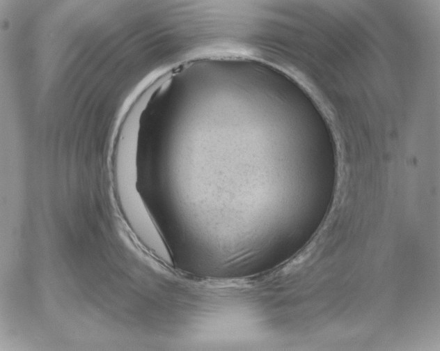 X0000053000864200507291641