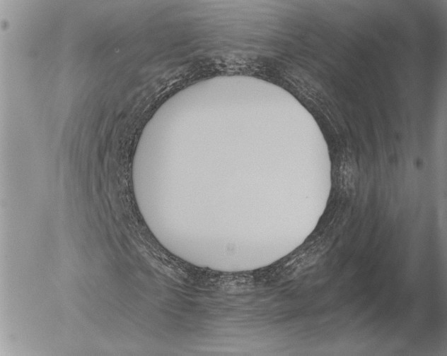 X0000053000865200507291640