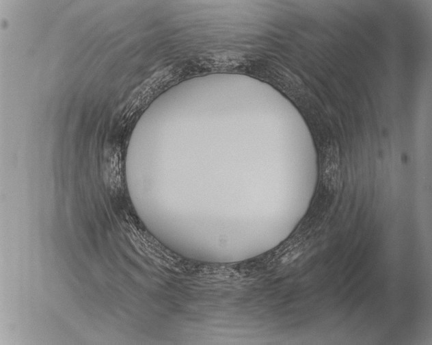 X0000053000866200507291640