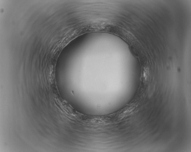 X0000053000867200507291640