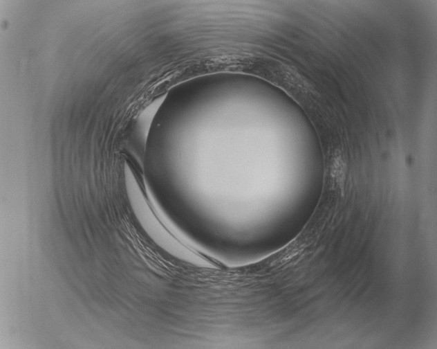 X0000053000868200507291640