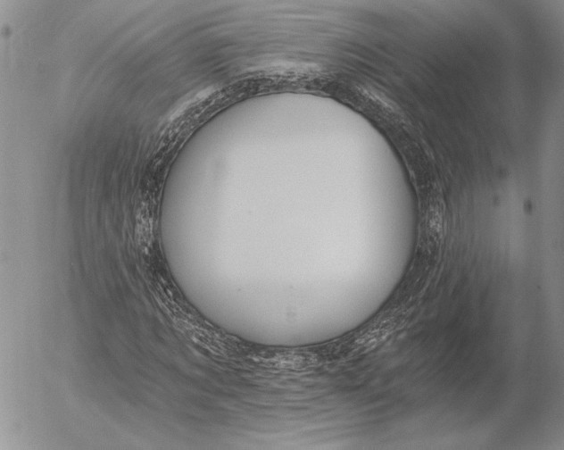 X0000053000869200507291640