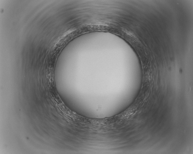 X0000053000870200507291640