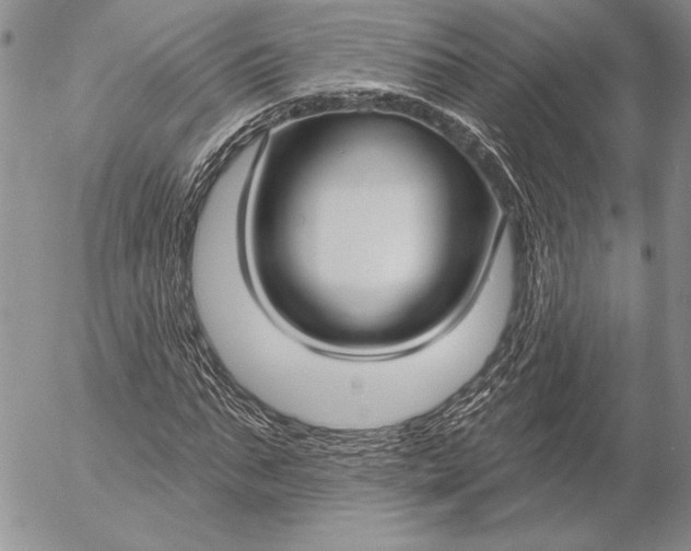 X0000053000871200507291640