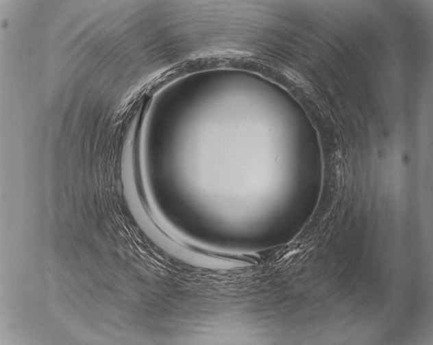 X0000053000872200507291640