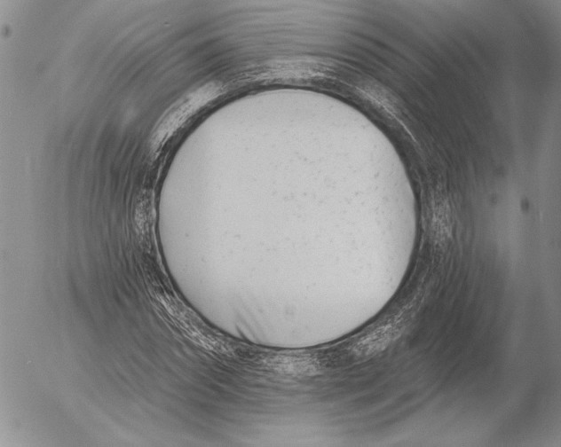 X0000053000874200507291640