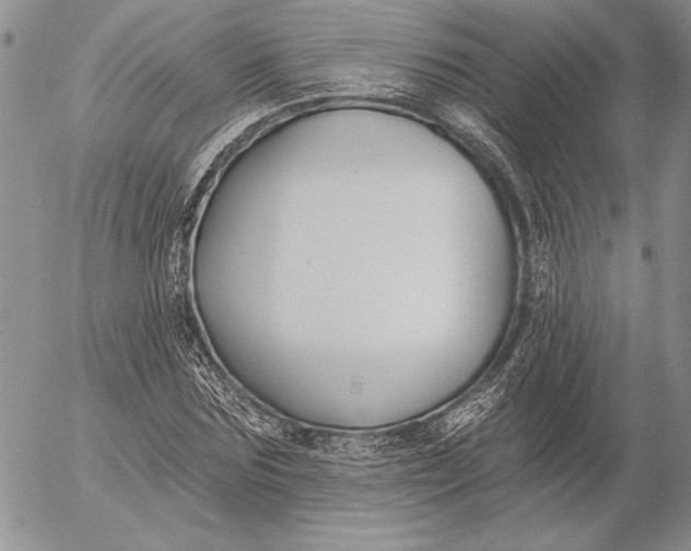 X0000053000875200507291640