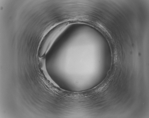 X0000053000876200507291640