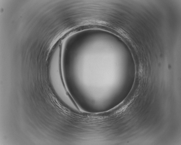 X0000053000877200507291640