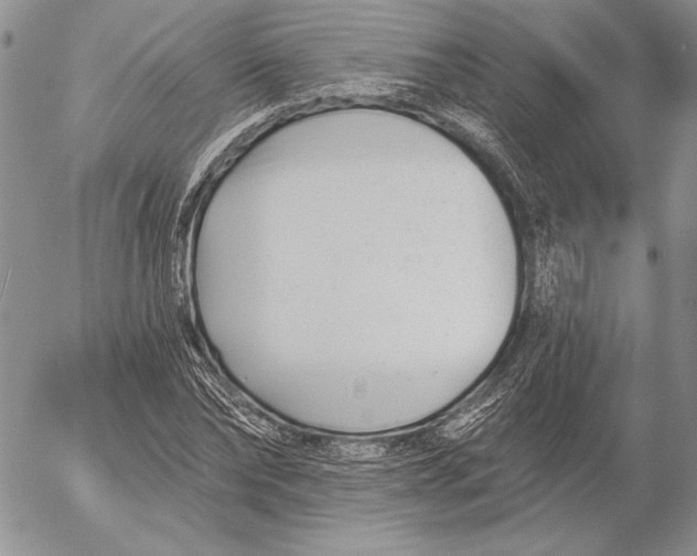 X0000053000878200507291640