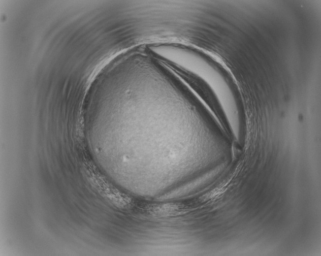 X0000053000879200507291640