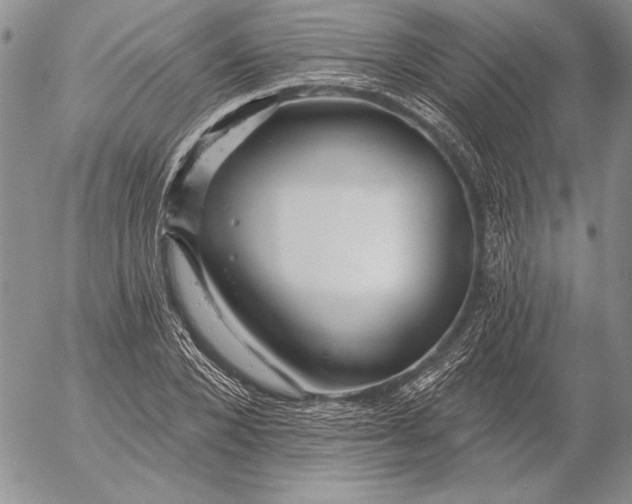 X0000053000880200507291639