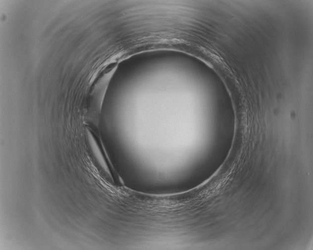 X0000053000881200507291639