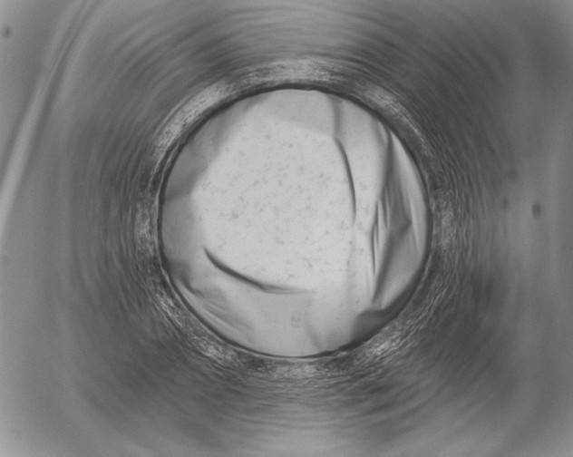 X0000053000882200507291639