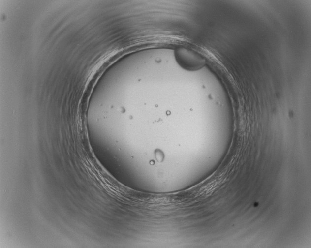 X0000053000883200507291639