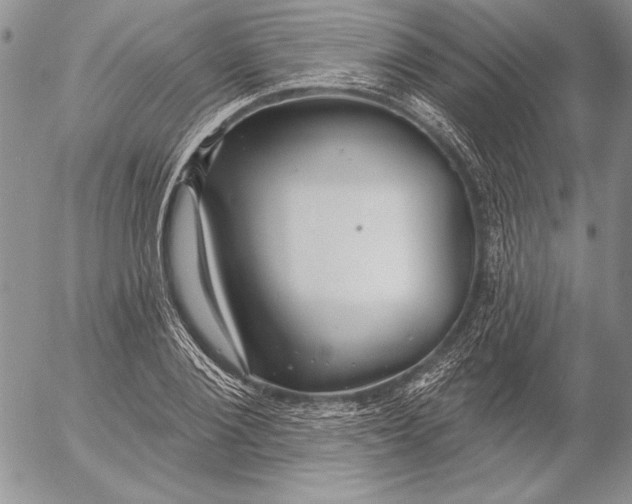 X0000053000884200507291639