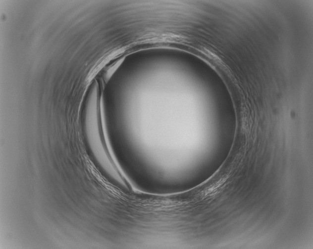 X0000053000885200507291639