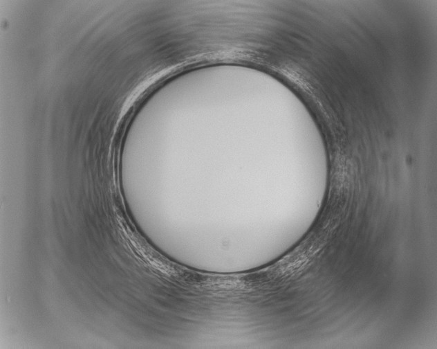 X0000053000886200507291639