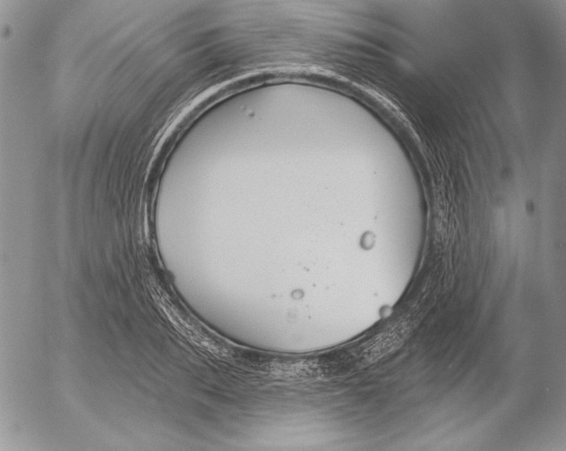 X0000053000887200507291639