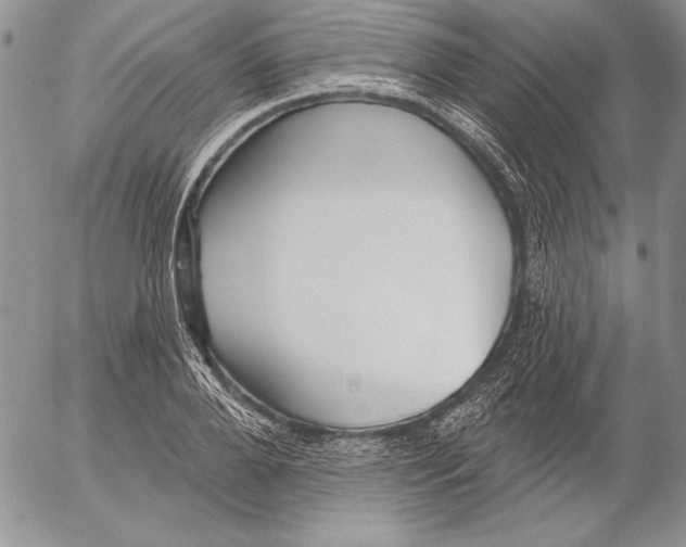 X0000053000888200507291639