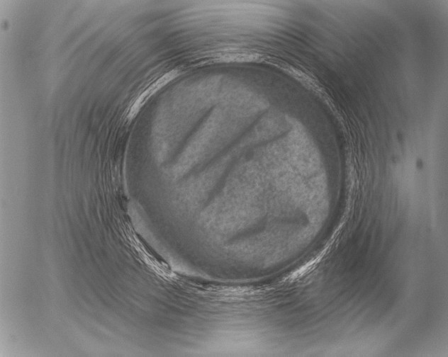 X0000053000889200507291639