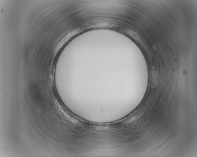 X0000053000890200507291639