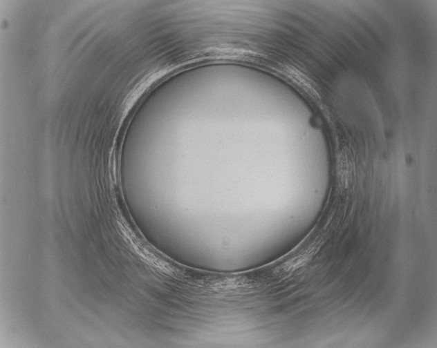 X0000053000891200507291639