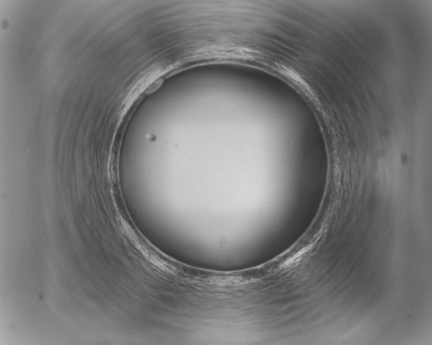 X0000053000893200507291639